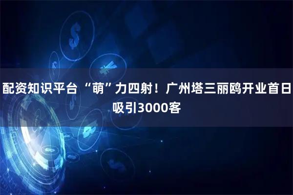 配资知识平台 “萌”力四射！广州塔三丽鸥开业首日吸引3000客