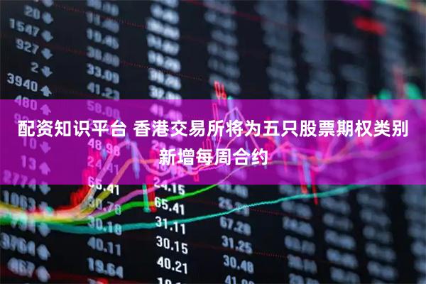 配资知识平台 香港交易所将为五只股票期权类别新增每周合约