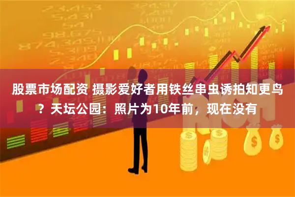 股票市场配资 摄影爱好者用铁丝串虫诱拍知更鸟?天坛公园:照片为10年前,现在没有
