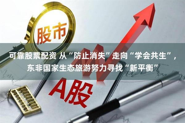 可靠股票配资 从“防止消失”走向“学会共生”，东非国家生态旅游努力寻找“新平衡”